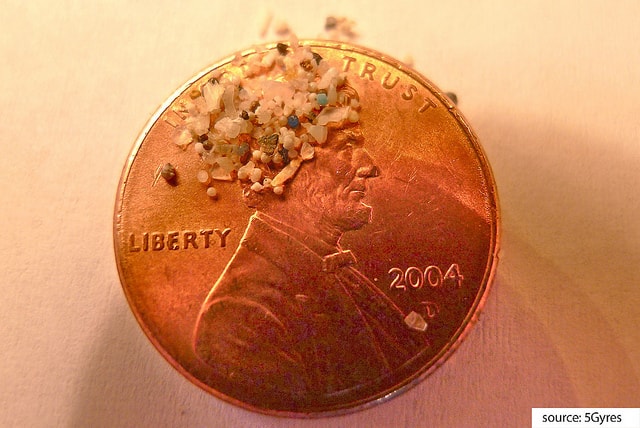 microbeads munt